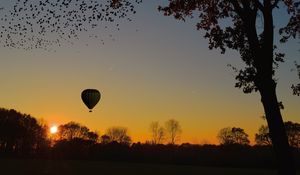 Preview wallpaper air balloon, aerostat, tree, sunset, foliage, horizon