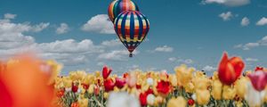 Preview wallpaper air balloon, aerostat, tulips, field, sky