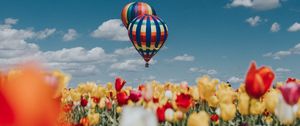 Preview wallpaper air balloon, aerostat, tulips, field, sky