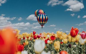 Preview wallpaper air balloon, aerostat, tulips, field, sky