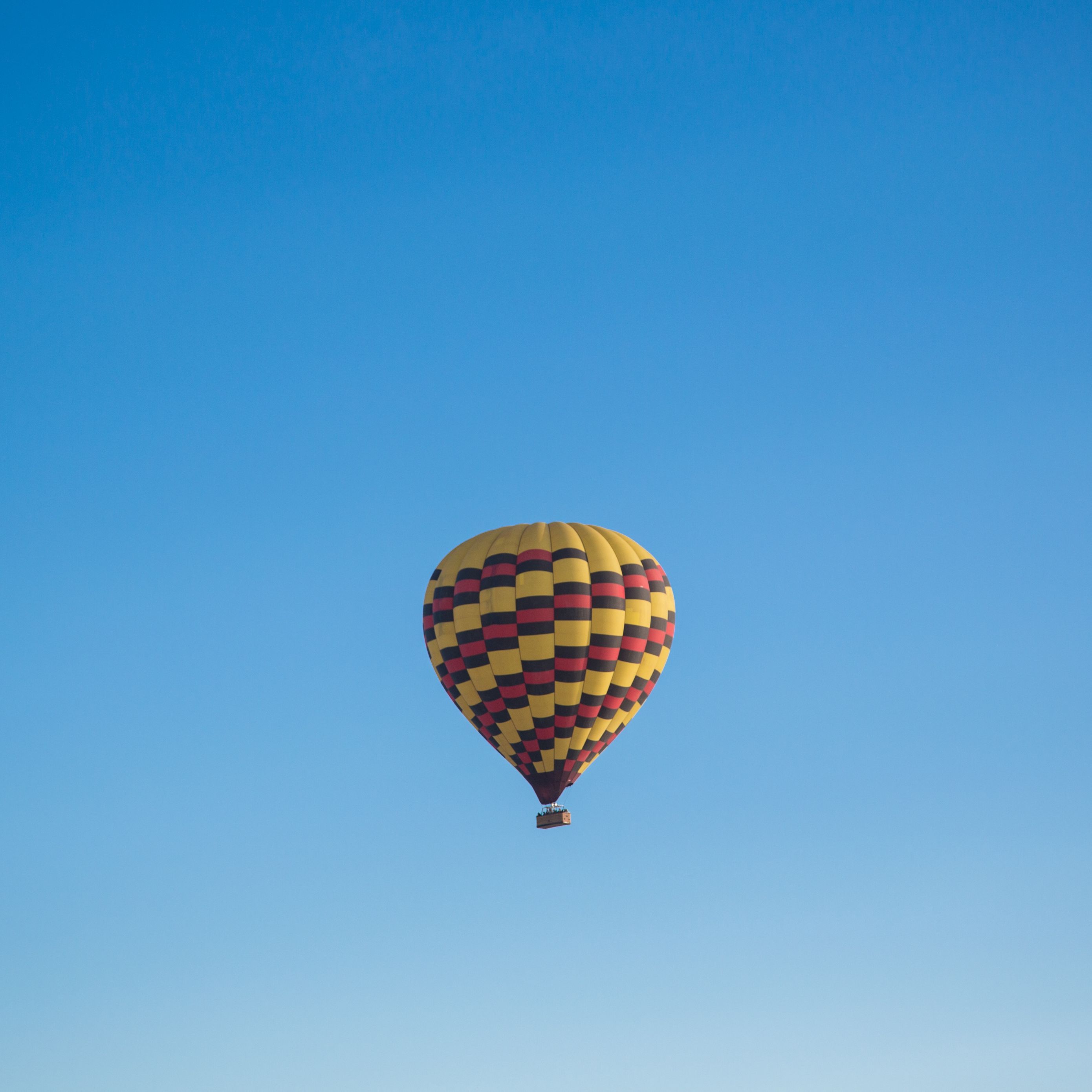 Download wallpaper 2780x2780 air balloon, sky, flight, blue ipad air ...