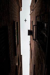 Preview wallpaper airplane, buildings, bottom view, flight