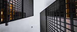 Preview wallpaper airplane, buildings, skyscrapers, bottom view