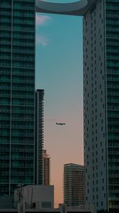 Preview wallpaper airplane, buildings, skyscrapers, evening