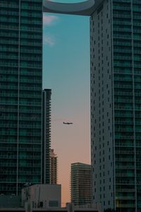 Preview wallpaper airplane, buildings, skyscrapers, evening