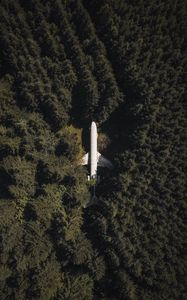 Preview wallpaper airplane, forest, aerial view, trees, treetops