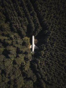 Preview wallpaper airplane, forest, aerial view, trees, treetops