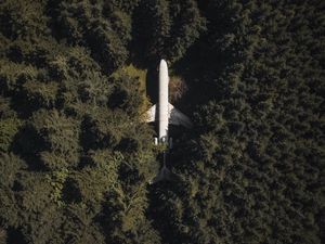 Preview wallpaper airplane, forest, aerial view, trees, treetops