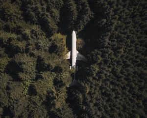 Preview wallpaper airplane, forest, aerial view, trees, treetops