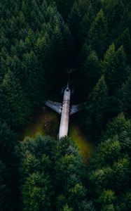 Preview wallpaper airplane, forest, aerial view, trees, spruce