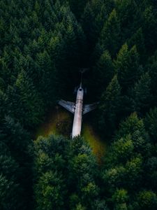 Preview wallpaper airplane, forest, aerial view, trees, spruce