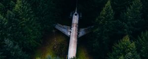 Preview wallpaper airplane, forest, aerial view, trees, spruce