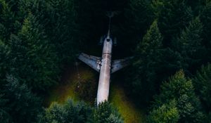 Preview wallpaper airplane, forest, aerial view, trees, spruce