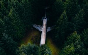 Preview wallpaper airplane, forest, aerial view, trees, spruce