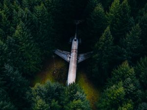 Preview wallpaper airplane, forest, aerial view, trees, spruce