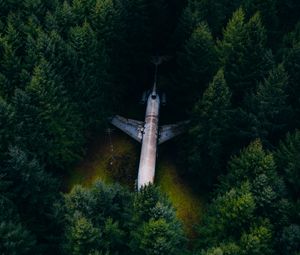 Preview wallpaper airplane, forest, aerial view, trees, spruce