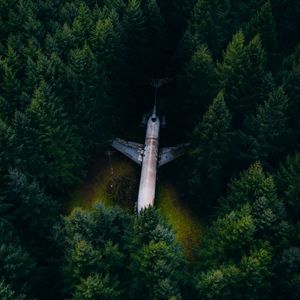 Preview wallpaper airplane, forest, aerial view, trees, spruce