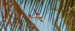 Preview wallpaper airplane, palm, sky, branches