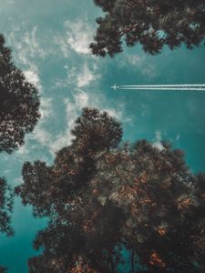 Preview wallpaper airplane, sky, trees, flight