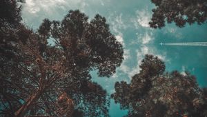 Preview wallpaper airplane, sky, trees, flight