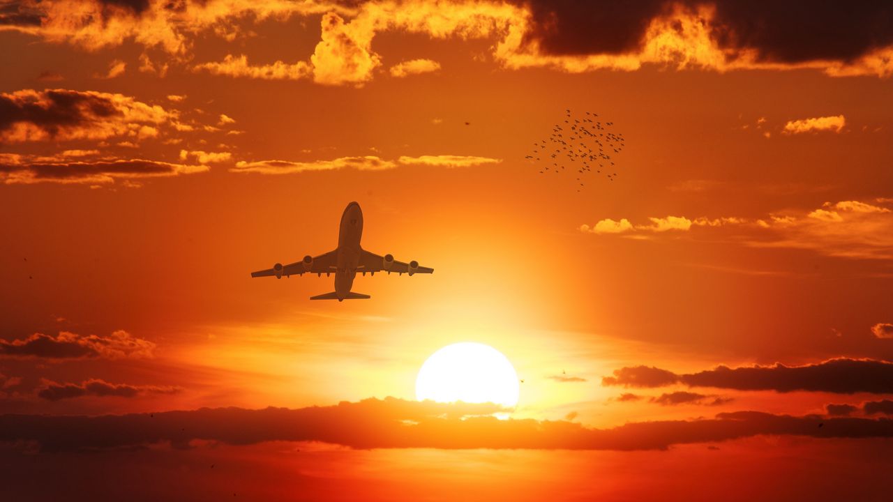 Wallpaper airplane, sun, flight, sunset, birds, sky