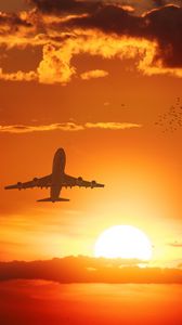 Preview wallpaper airplane, sun, flight, sunset, birds, sky