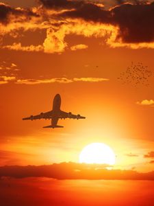 Preview wallpaper airplane, sun, flight, sunset, birds, sky