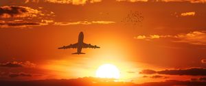 Preview wallpaper airplane, sun, flight, sunset, birds, sky