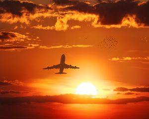 Preview wallpaper airplane, sun, flight, sunset, birds, sky