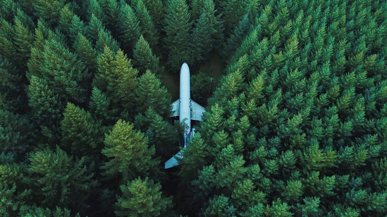 Wallpaper airplane, trees, top view
