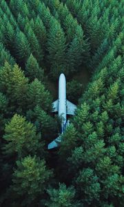 Preview wallpaper airplane, trees, top view