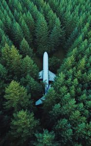 Preview wallpaper airplane, trees, top view