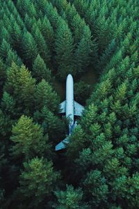 Preview wallpaper airplane, trees, top view