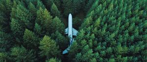 Preview wallpaper airplane, trees, top view