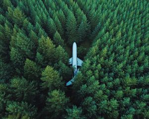 Preview wallpaper airplane, trees, top view