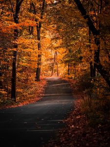 Preview wallpaper alley, autumn, trees, path, foliage