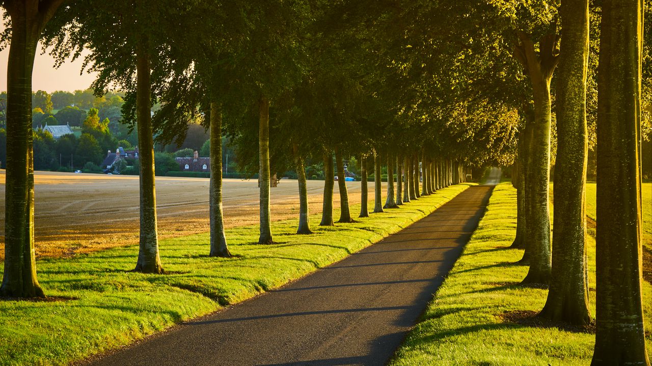 Wallpaper alley, path, trees, lawn