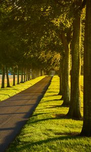 Preview wallpaper alley, path, trees, lawn