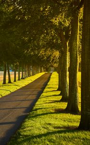 Preview wallpaper alley, path, trees, lawn