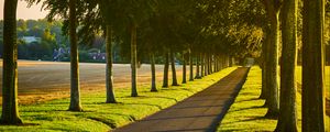 Preview wallpaper alley, path, trees, lawn