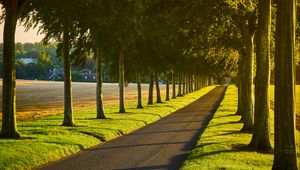 Preview wallpaper alley, path, trees, lawn