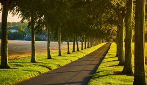 Preview wallpaper alley, path, trees, lawn