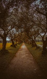 Preview wallpaper alley, path, trees, nature