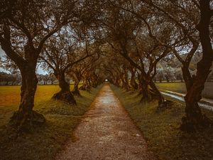 Preview wallpaper alley, path, trees, nature