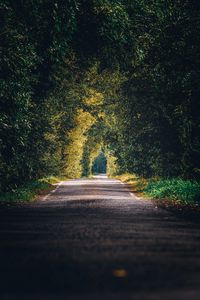 Preview wallpaper alley, path, trees, branches