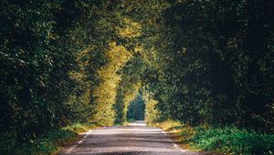Preview wallpaper alley, path, trees, branches