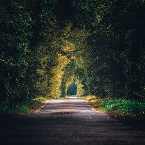 Preview wallpaper alley, path, trees, branches