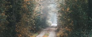 Preview wallpaper alley, path, trees, branches, rays