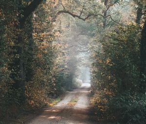 Preview wallpaper alley, path, trees, branches, rays