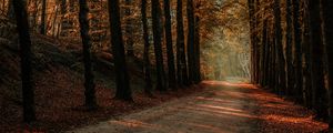 Preview wallpaper alley, path, trees, autumn, forest